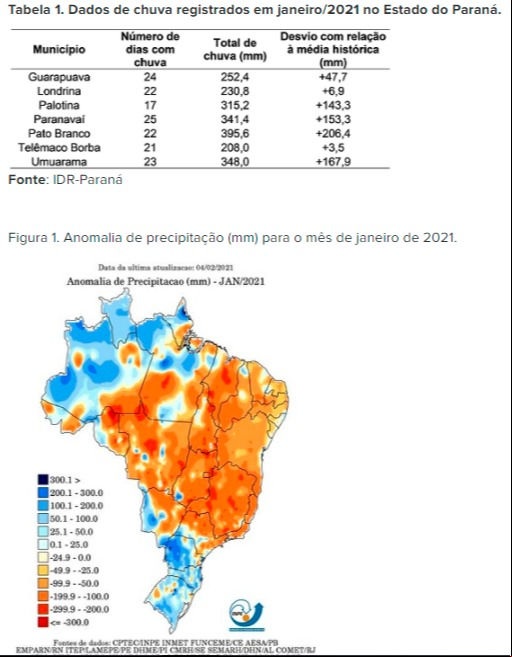 nota técnica idr-paraná abortamento vagens de soja mapas