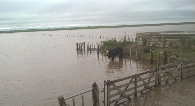 Chuva em Eduardo Castex, La Pampa, Argentina