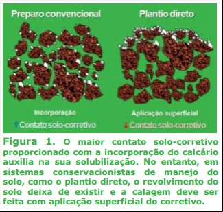 Figura 1 - Artigo Amanda Posselt