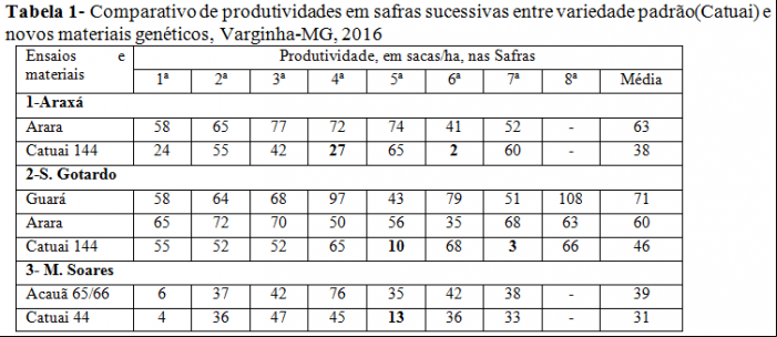 Variedades de café mais produtivas apresentam menor ciclo bienal nas safras