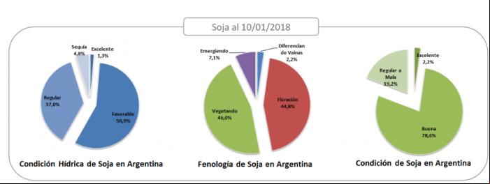 Situação da soja na Argentina