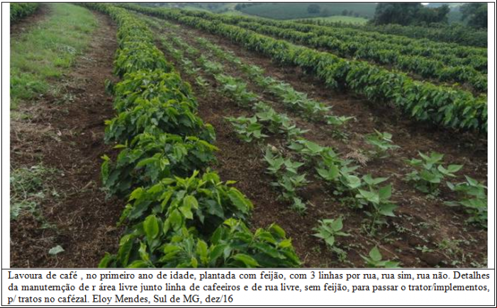 Feijão combina bem com café - 001