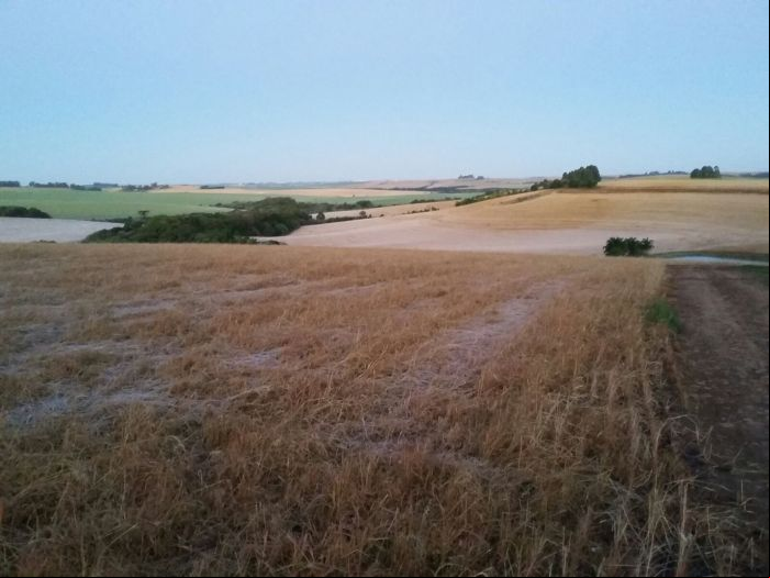 Imagem do dia - Formação de geada em o Fundo (RS). Imagem enviada pelo Engenheiro Agrônomo Luciano Remor
